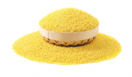 大黄米,传统美食的传承与创新之旅